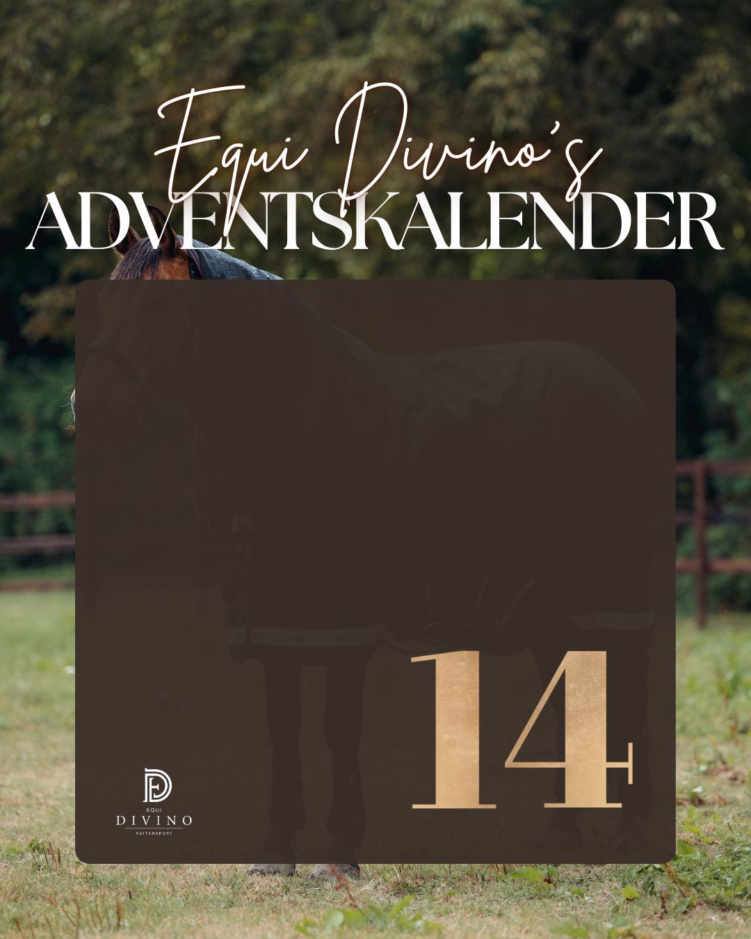 Adventkalender 4