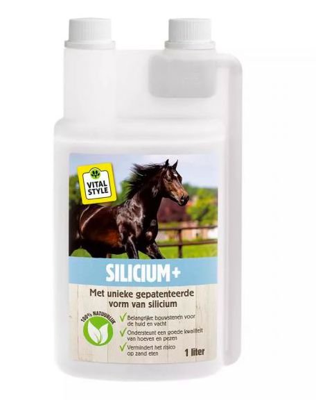 Vitalstyle - Silicium+ 1L