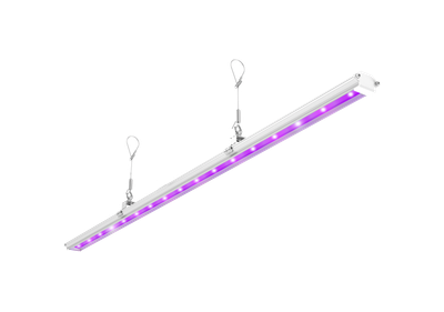 BOOST UVA+UVB+IR 60cm