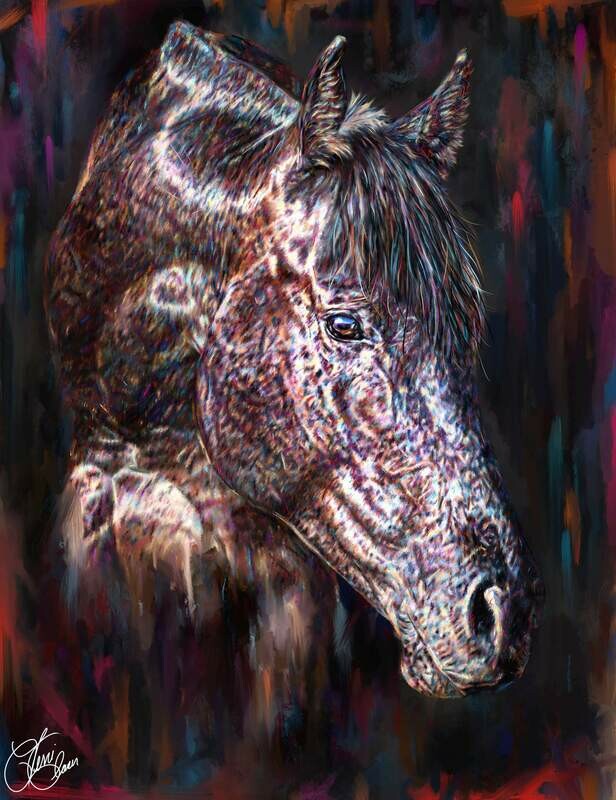 BLACK STALLION