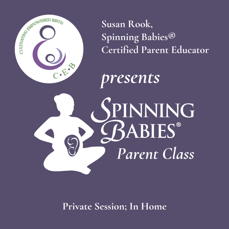 Spinning Babies® Parent Class (Private, In Your Home)