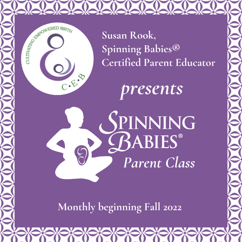 Spinning Babies® Parent Class (Group Class)