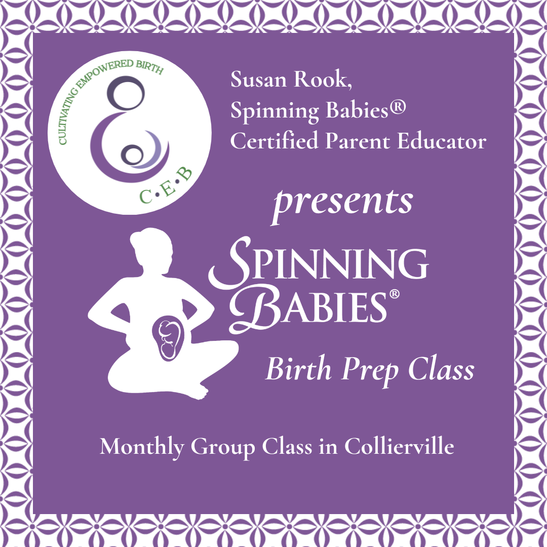 Spinning Babies® Birth Preparation Class (Group Class)