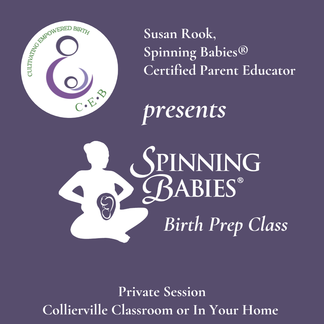 Spinning Babies® Birth Prep Class (Private)