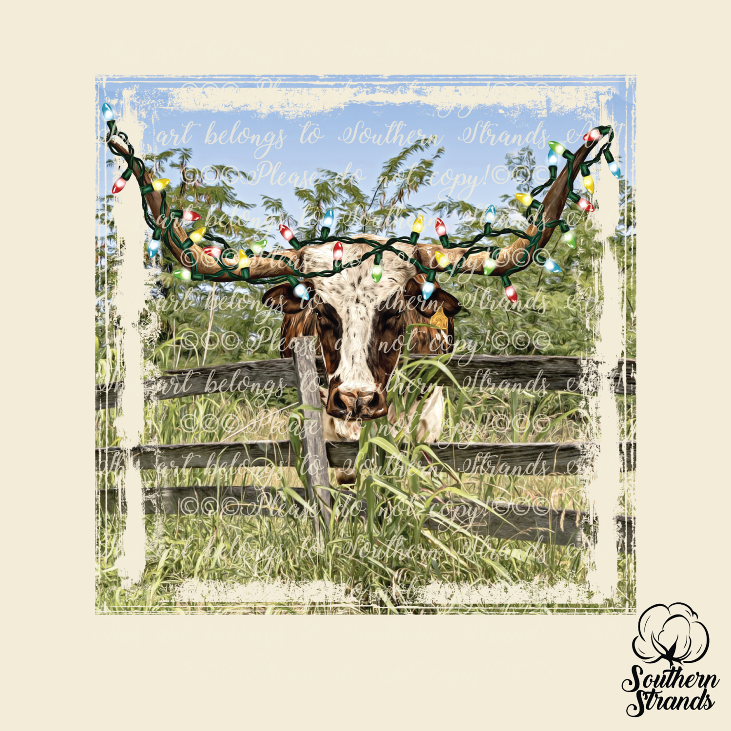 Longhorn in Lights