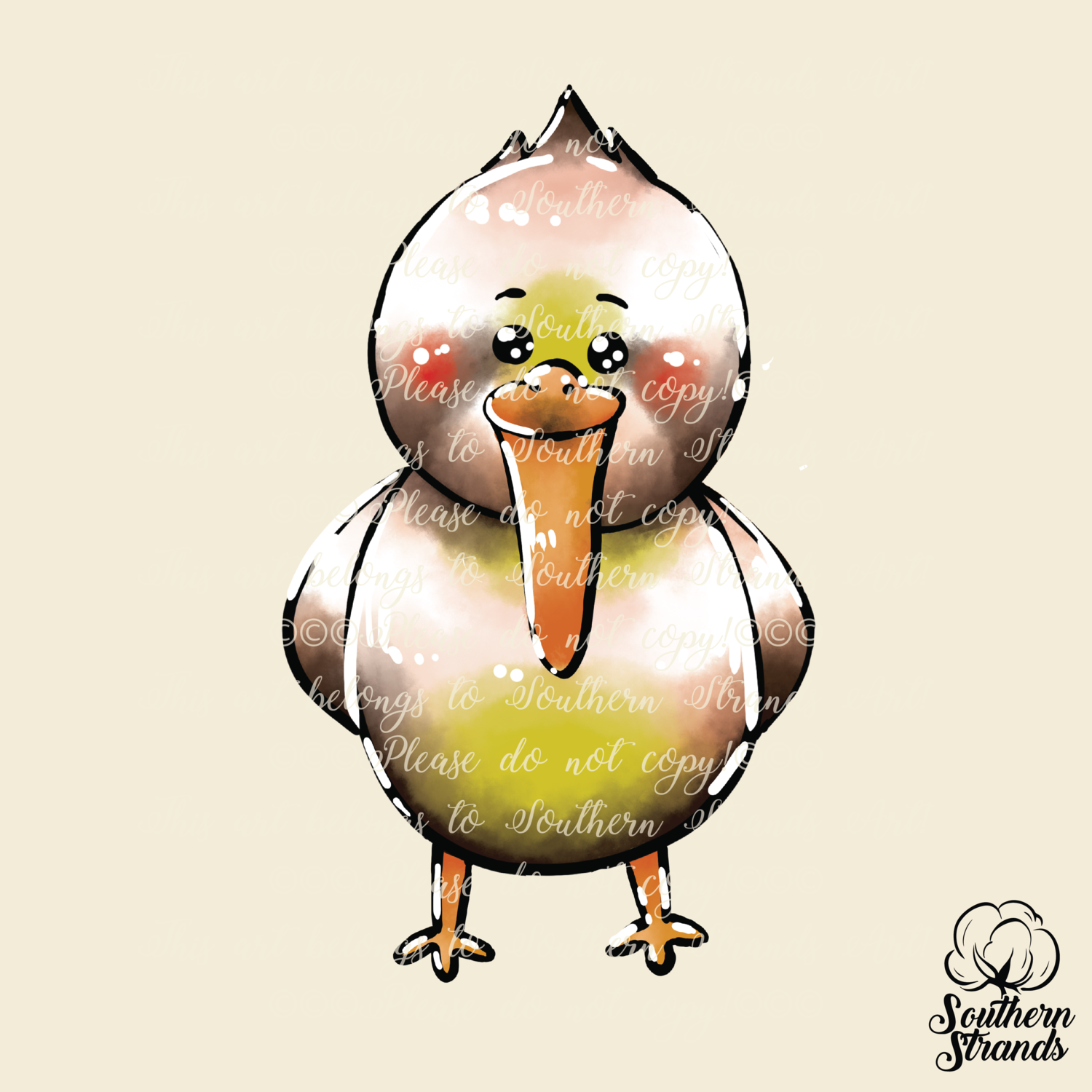 SS Kids Collection Pelican