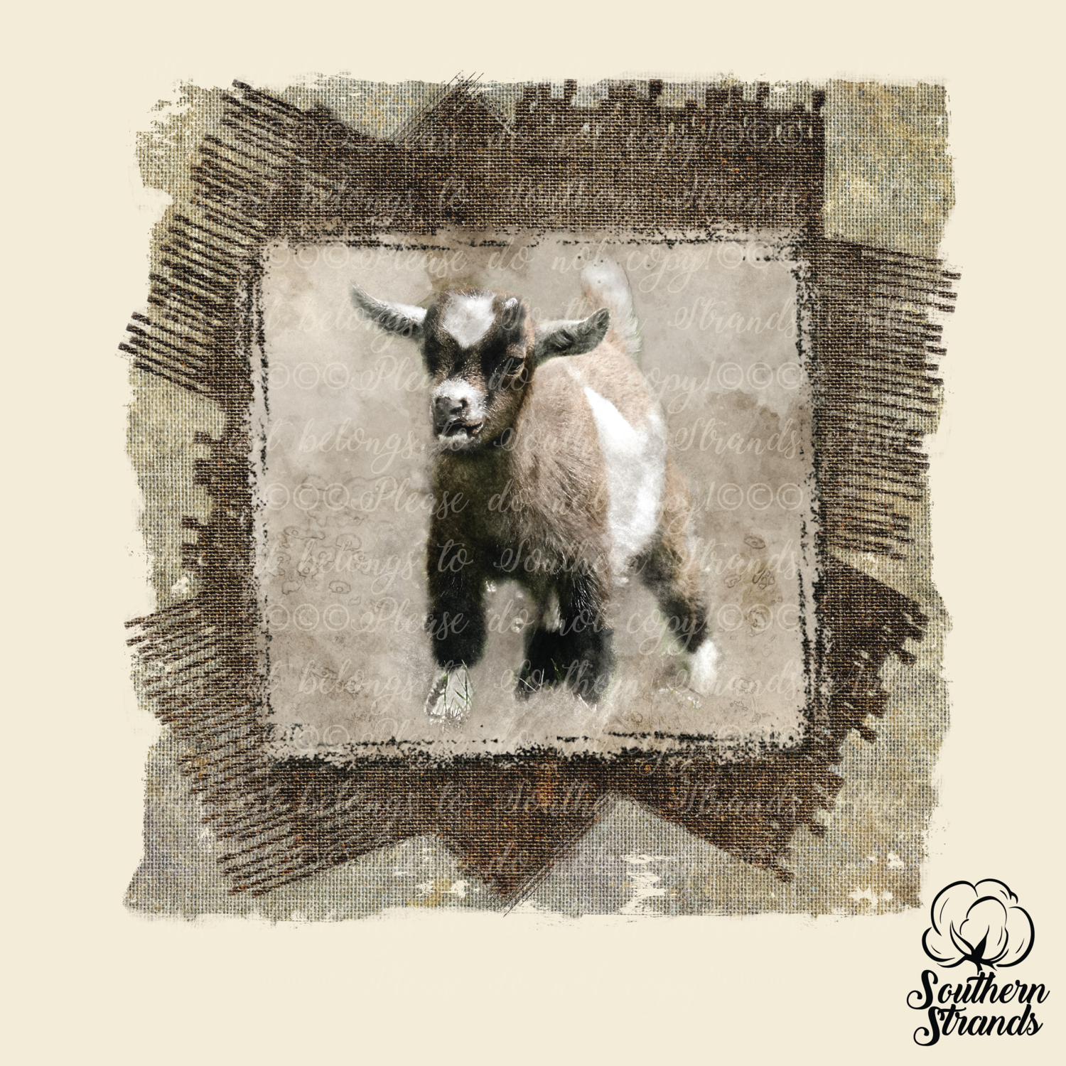Vintage Farm Baby Goat | DIGITAL DESIGN