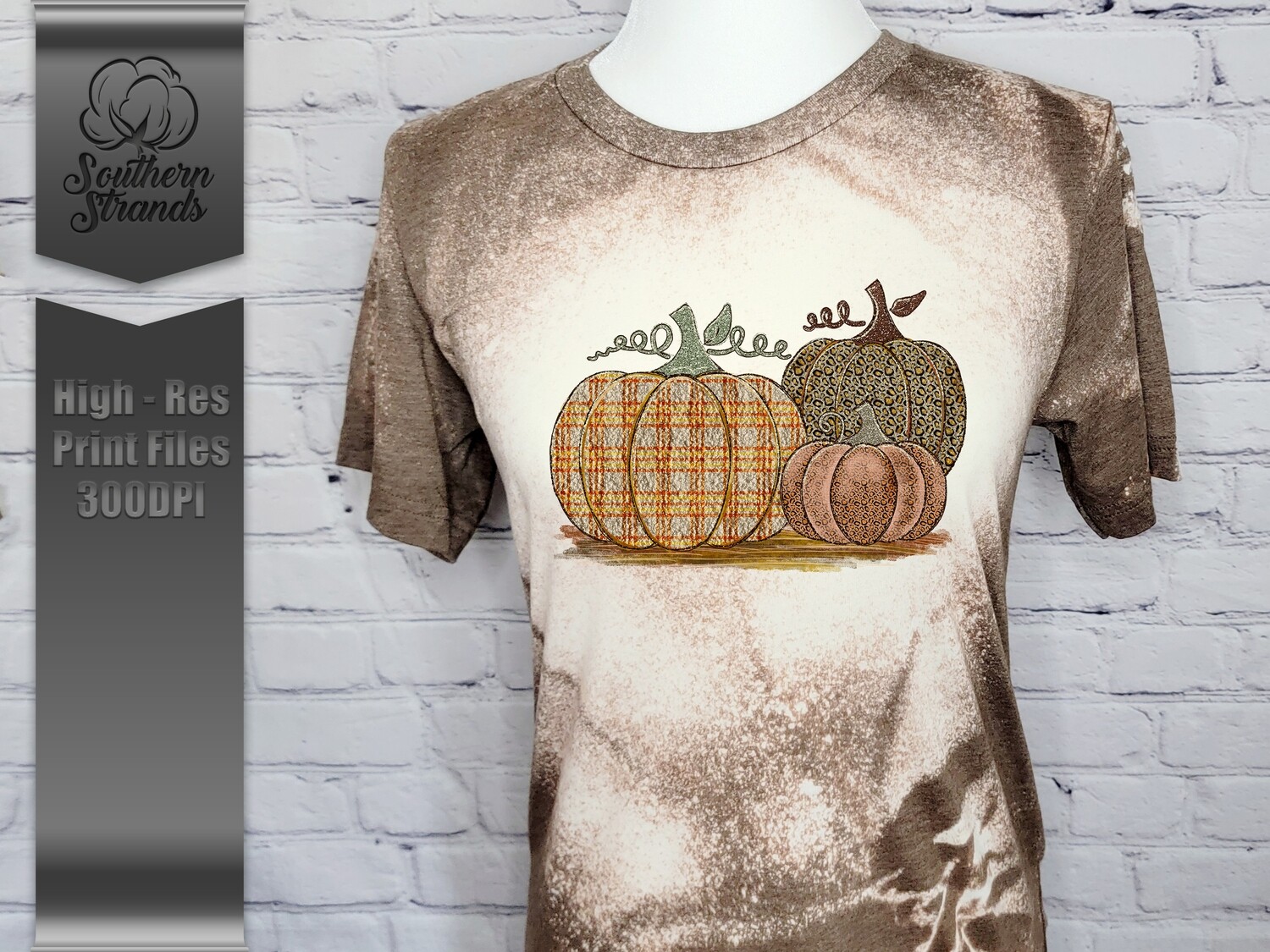 Fall Pumpkin Trio |  DIGITAL DESIGN