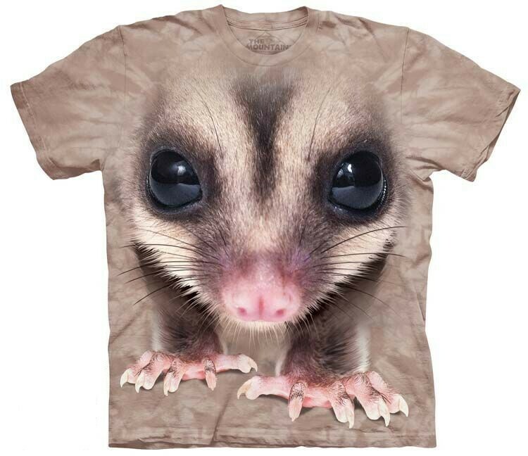 Big Face Glider T-shirt