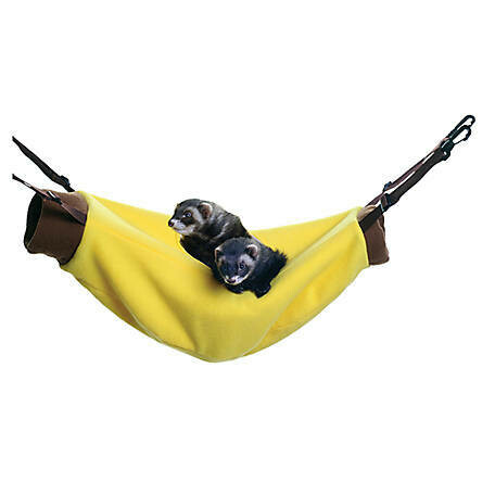 Hangin' Banana Hammock ?