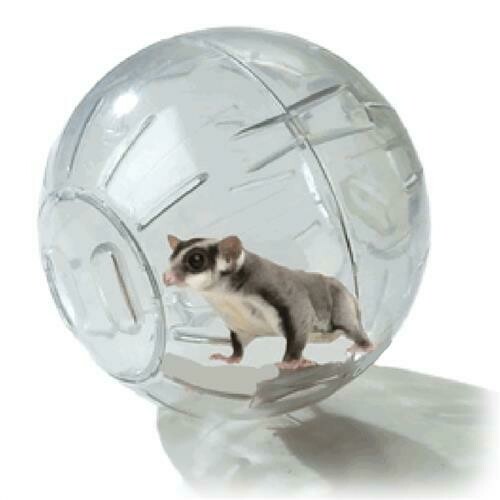 Exercise Ball