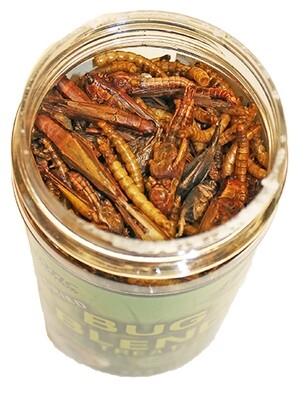 Bug Blend ?