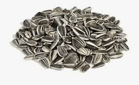 Sunflower Seeds ?