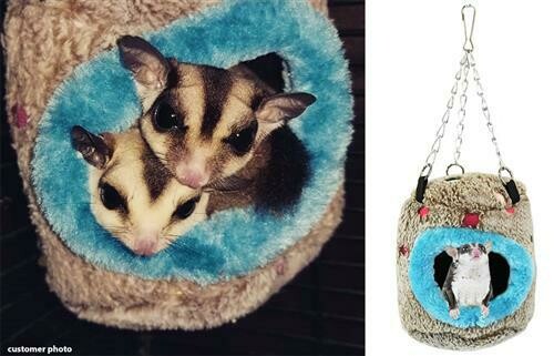 Critter Cave, Choose one: Small