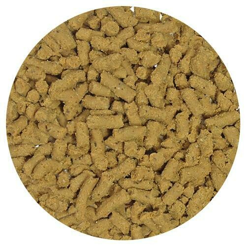 Insectivore Fare (Soft Diet)