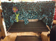 Cage Cover Set