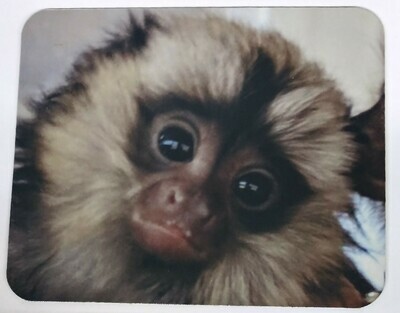Monkey Photo Mouse Pad