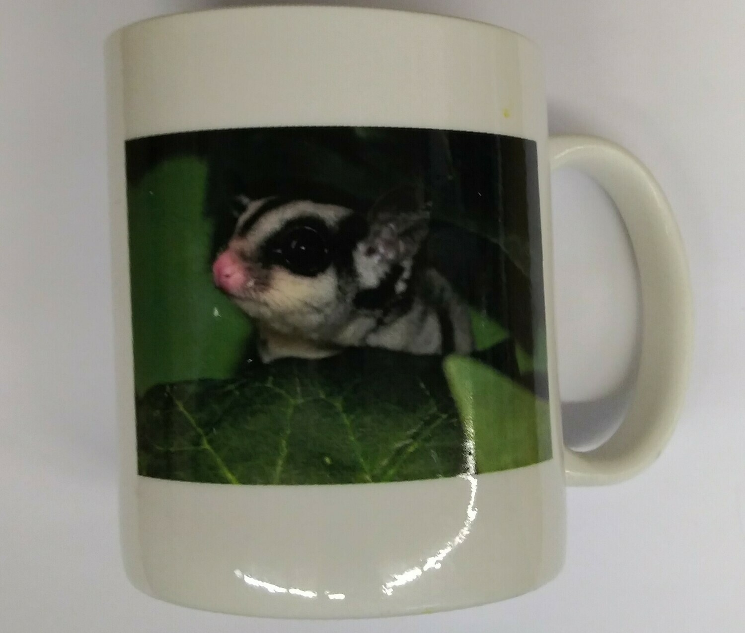 Glider Coffee Mug