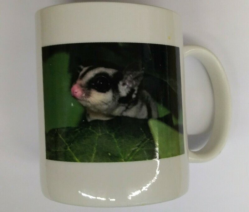 Glider Coffee Mug