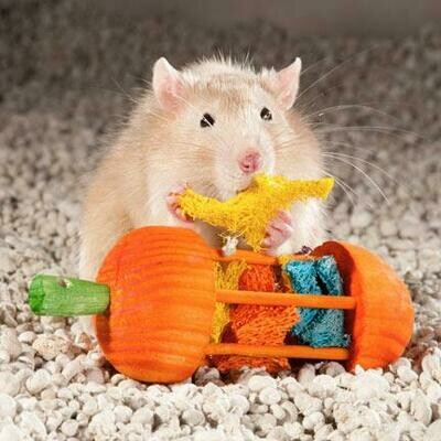 Carrot Roller Toy?