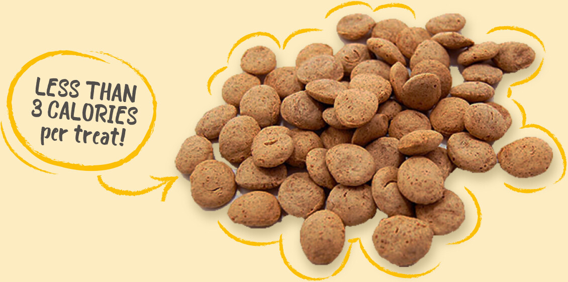 Chicken Soup Crackers ? Chicken Soup Crackers ?