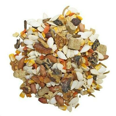 Squirrel Complete?️