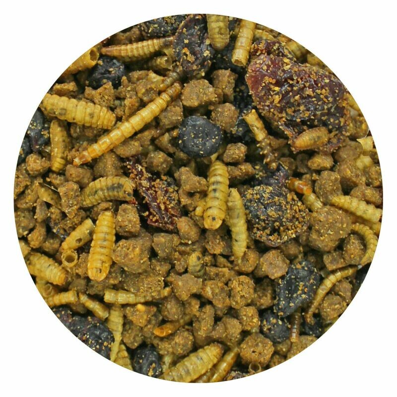 Berries & Bugs ?