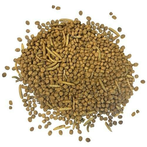 Hedgehog Chow ?