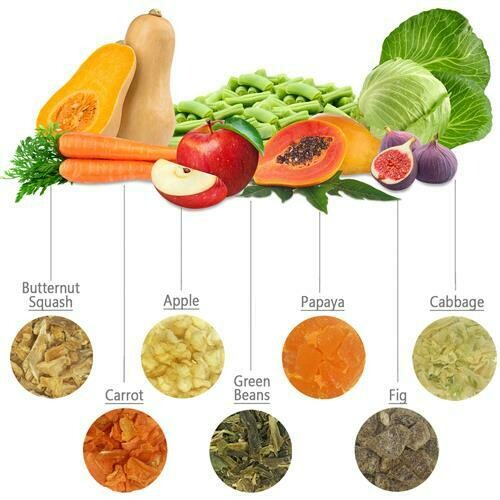 Garden Fresh Salad
