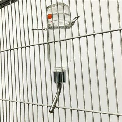 Water Bottle (Glass)