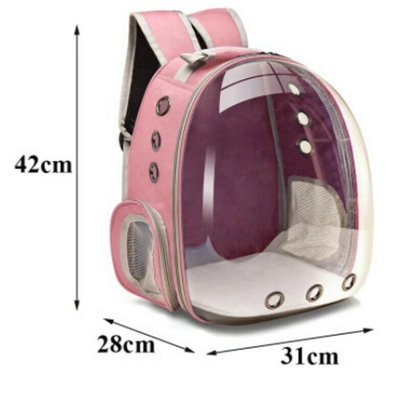 Backpack Capsule Carrier