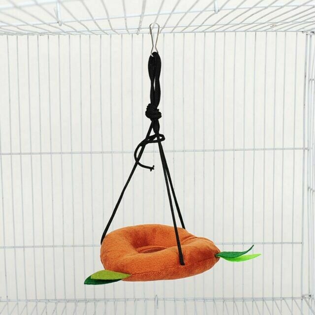 Jungle Swing