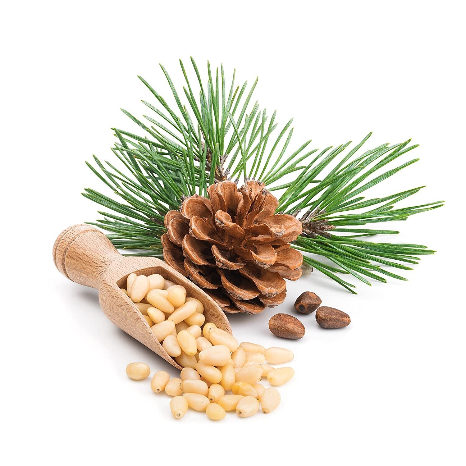 Pine Nuts