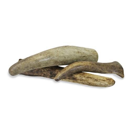 Antler Chews ?