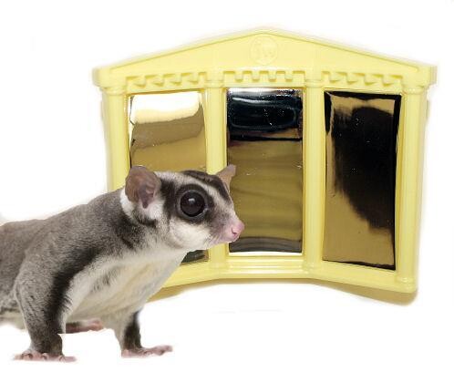 Fun House Mirror