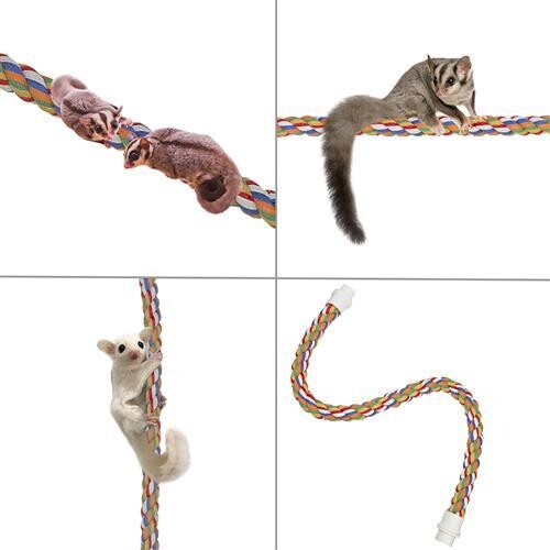 Rope Toy