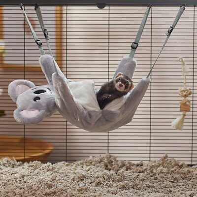 Koala Bear Bed ?