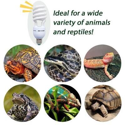 UVB/UVA Bulb Small?