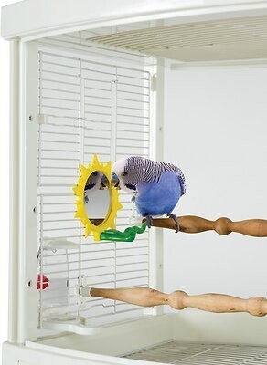 Mirror Perch