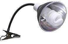 UVB/UVA Small Light Fixture/Bulb