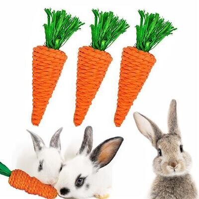 Carrot Chew Toy ?