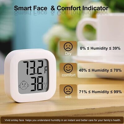 Thermometer & Humidity Meter