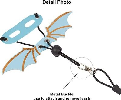 Harness, Wings & Leash Set