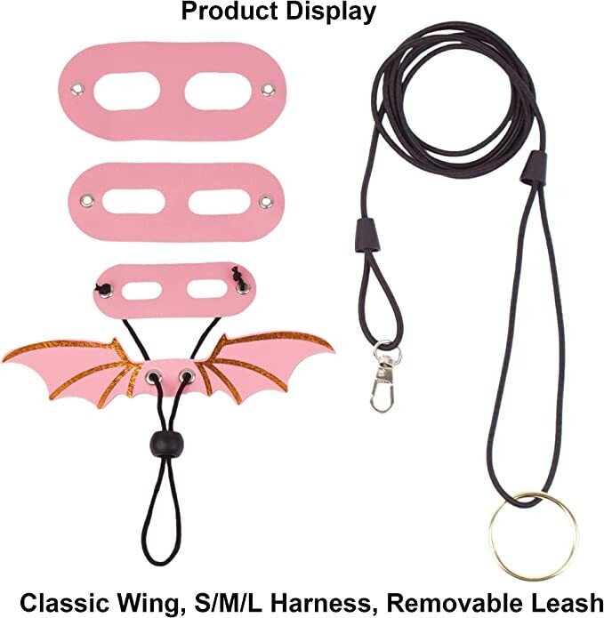 Harness, Wings & Leash Set