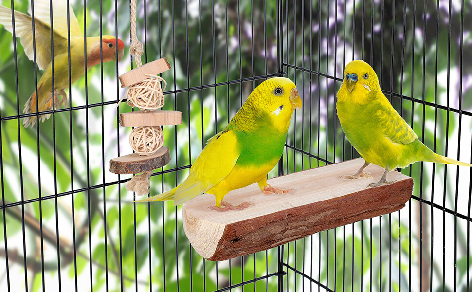 Wooden Perch, Wooden Perch: 1 Wooden Perch