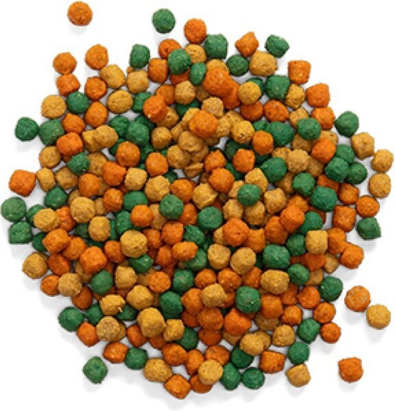 Veggie Vittles