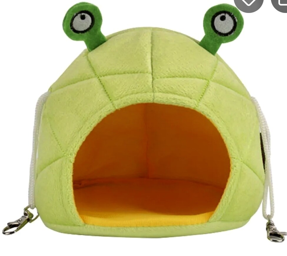 Frog Bed?, Frog Bed: Green Frog