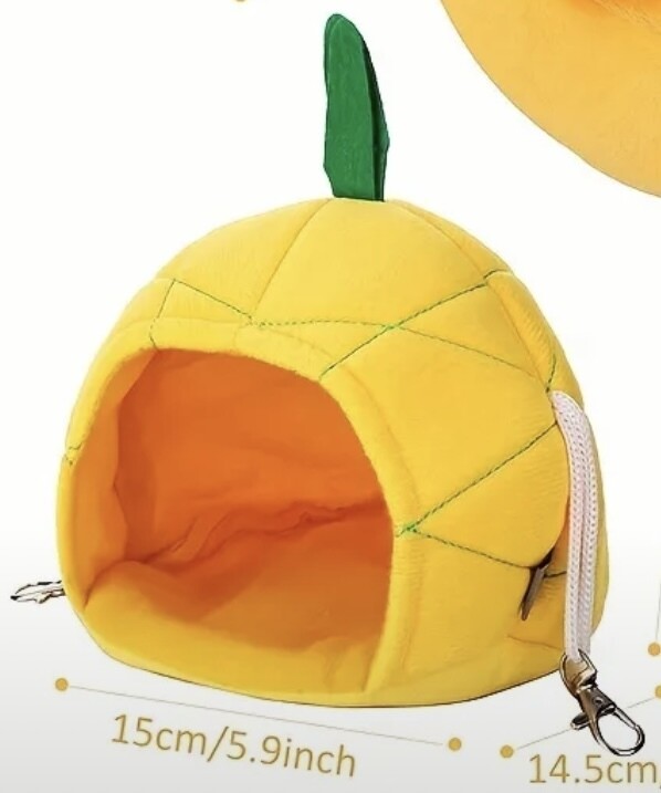 Pineapple  Pouch ?