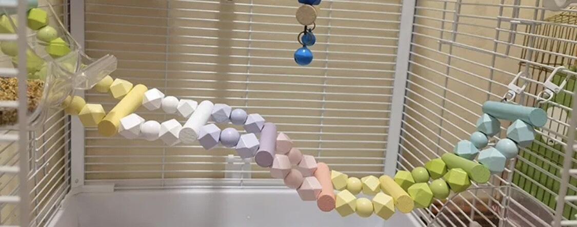 Pastel Ladder