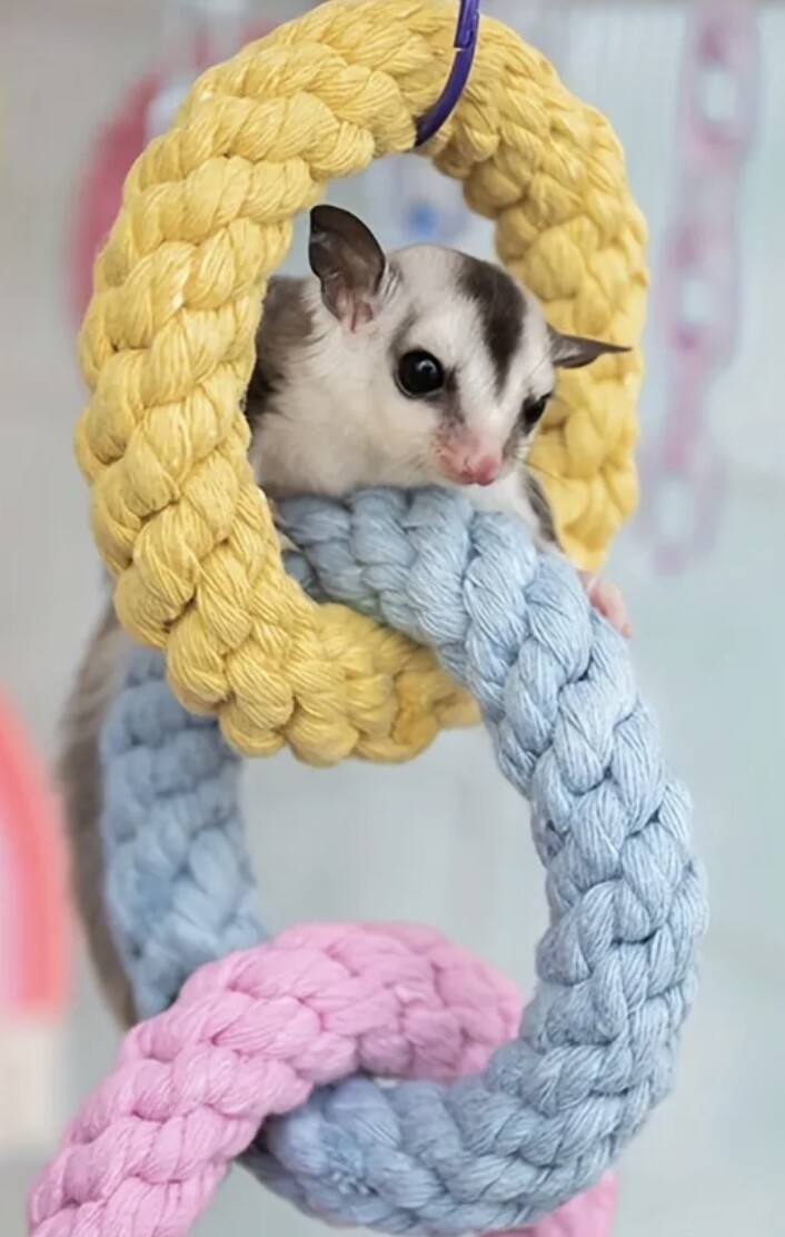 Climbing Rope Rings